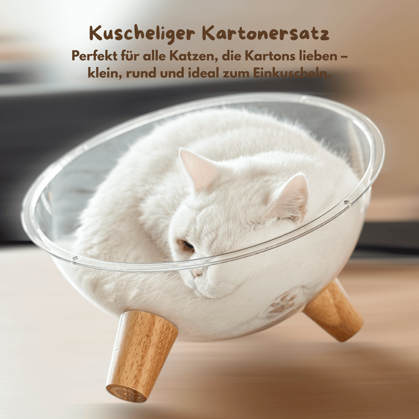 Katzenschale "Minnie’s Lounge"