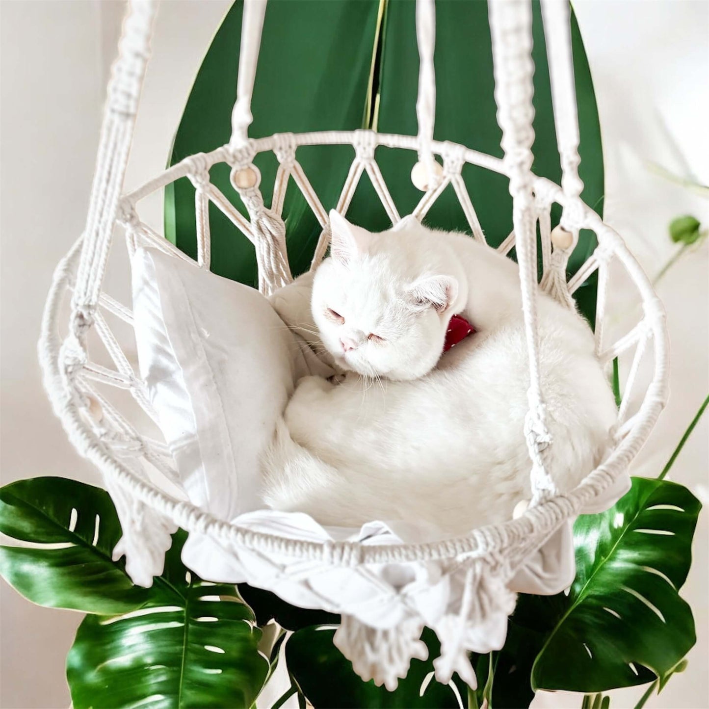 Maison Miau - Boho zum einmurmeln