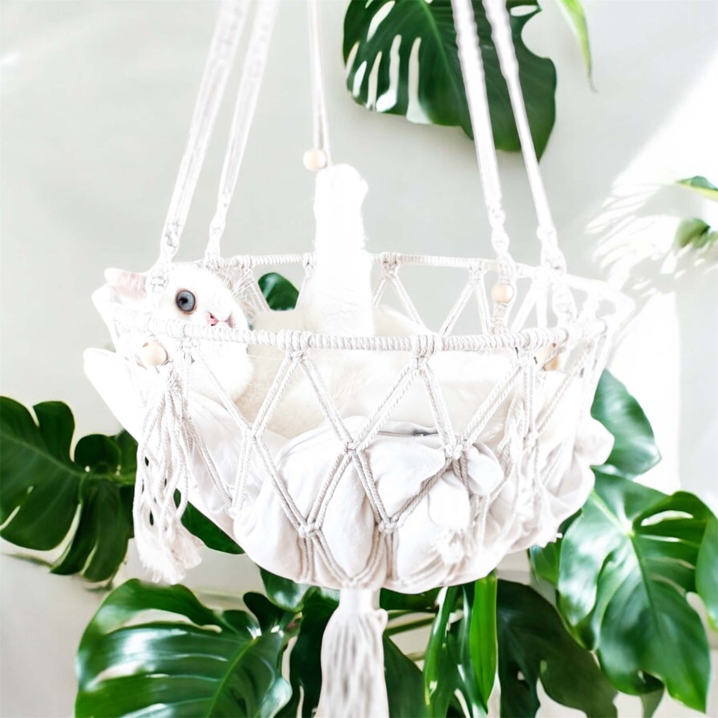 Maison Miau - Boho zum einmurmeln