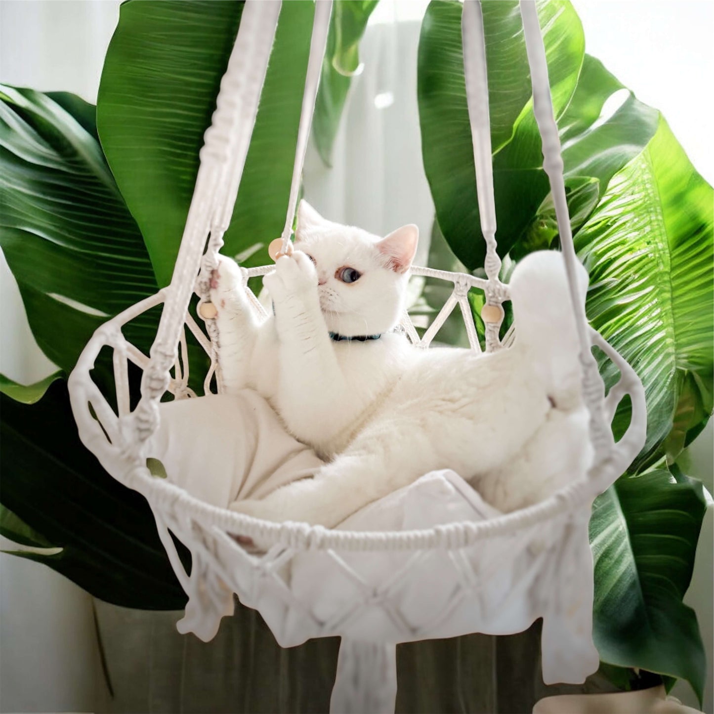 Maison Miau - Boho zum einmurmeln