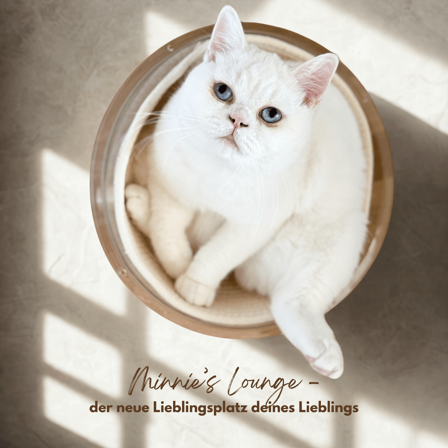 Katzenschale "Minnie’s Lounge"