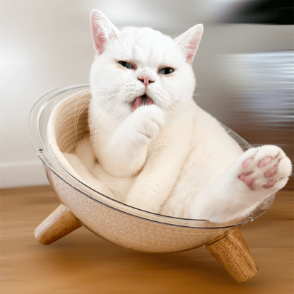 Katzenschale "Minnie’s Lounge"