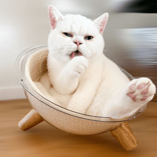 Katzenschale "Minnie’s Lounge"