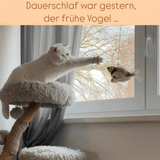 LELOIA TWEETY – Geniales Katzenspielzeug weckt den Tiger in deiner Katze