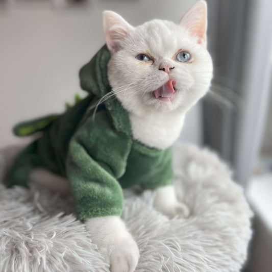 Miezosaurus Rex - flauschiges Dinokostüm
