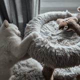 LELOIA TWEETY – Geniales Katzenspielzeug weckt den Tiger in deiner Katze