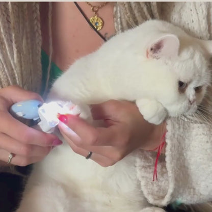 LED CatClip – Präzisionsnagelklipser für Krallen
